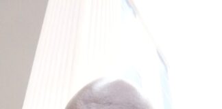 Austérité version nouveau régime : fausse route manifeste